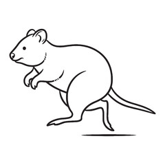 Fototapeta premium Classic Quokka Line Art – Quokka Vector Outline Drawing with Balanced Body Proportion – Quokka Drawing – Vector of Quokka – Quokka Outline