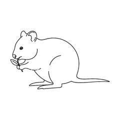 Stylish Quokka Line Art – Quokka Vector Illustration Balanced Drawing with Clean Design – Quokka Drawing – Line Art Drawing of Quokka – Quokka Icon

