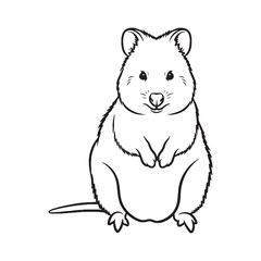 Cute Quokka Line Art – Quokka Vector Illustration Smooth Drawing with Iconic Smile – Quokka Drawing – Line Art Drawing of Quokka – Quokka Icon

