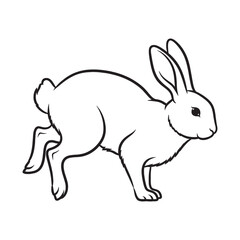 Modern Rabbit Line Art – Rabbit Vector Illustration Elegant Drawing with Smooth Finish – Rabbit Drawing – Line Art Drawing of Rabbit – Rabbit Icon

