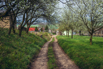 Country road in Sidleny Wine Cellars near small town Milotice, Czech Republic