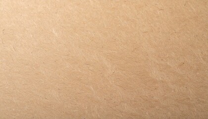 Warm Tan Fibrous Recycled Paper Texture Background