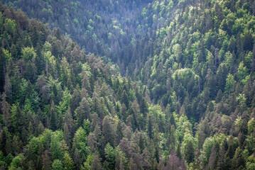 Aerial view from rock shelf known as Tomasovsky vyhlad in Slovak Paradise mountain range in Slovakia