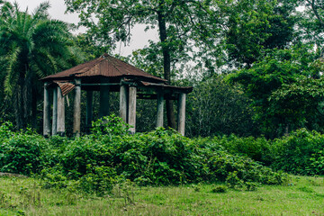 An abandoned house in the middle of the forest