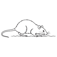 Grand Rat Line Art – Rat Vector Outline Drawing with Distinctive Features – Rat Drawing – Vector of Rat – Rat Outline

