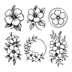Hibiscus Flower Set - Line Art Floral Arrangements