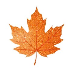 Fototapeta premium Orange maple leave icon leaves plant shape.