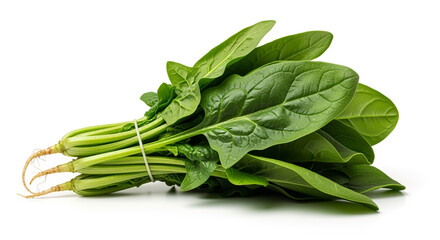 Fresh organic spinach leaves bunch isolated on white background for healthy eating and cooking ideas