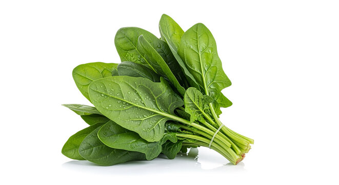 Fresh spinach leaves bunch isolated on white background for healthy eating and cooking recipes ideas