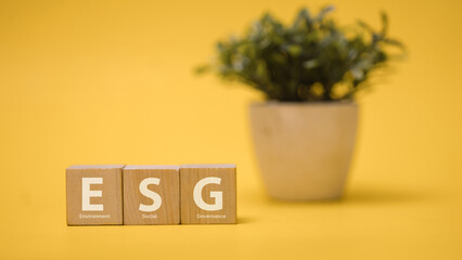 ESG Environment Social Governance Concept with Wooden Blocks and Plant