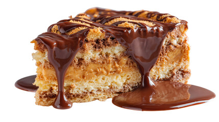 Delicious chocolate drizzled dessert slice on white isolate background.