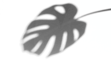 Transparent Black and White Abstract Ink Blot PNG,  High-Resolution Texture of Black Ink Splashes with Cyan Accents on a Transparent Background, Ideal for Design Overlays and Digital Art Projects