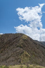 蛭ヶ岳の登山道