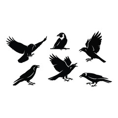 Vector art of six crows isolated on white background