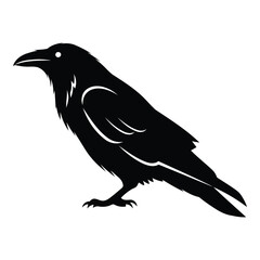 Vector art of crow silhouette isolated on white background