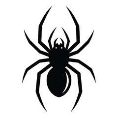 Vector art of one spider isolated on white background