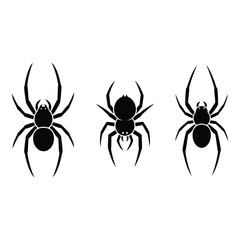 Vector art of three spiders isolated on white background
