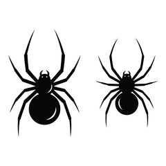 Vector art of two spiders isolated on white background