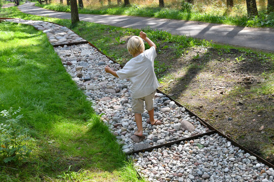 Barefoot boy walking on a sensory trail through a sunny pine forest in summer