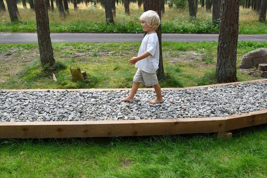 Barefoot boy walking on a sensory trail through a sunny pine forest in summer