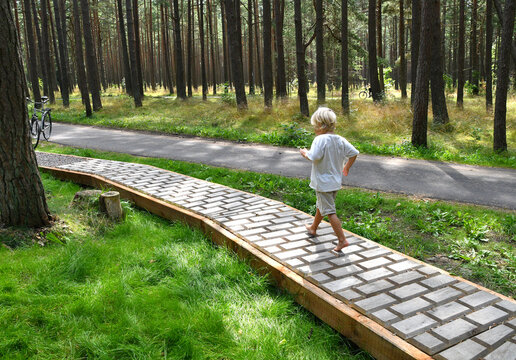 Happy Barefoot boy walking on a sensory trail through a sunny pine forest