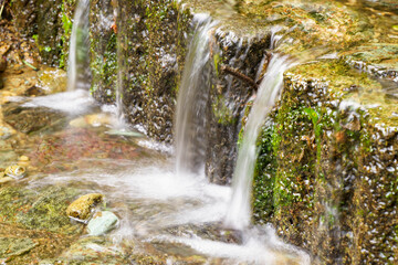 清流を流れる小さな滝