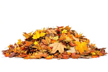 Obraz premium Colorful autumn leaves pile