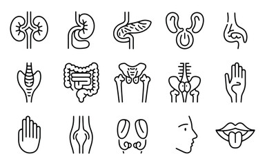 Medical organs line icon set, thin linear vector pictograms of human anatomy and body parts including kidney, bladder, pancreas, intestine, thyroid, pelvis, skeleton, joint, hand, nose, mouth