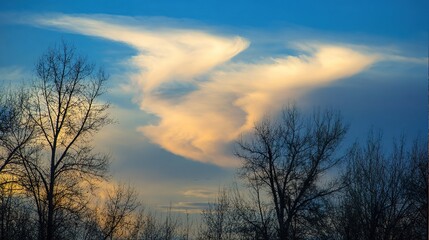 Obraz premium Cloudy Sky in Blue and Orange with Tree Silhouettes at Sunset – Indigo and Amber Clouds Blending, Dark Tree Outlines Stretching Against the Glowing Evening Horizon