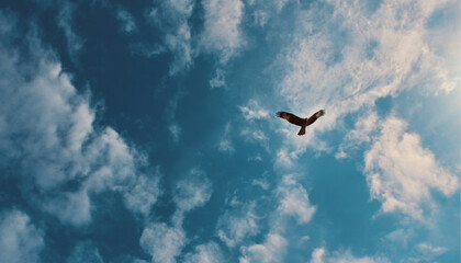 looking up into the blue sky overhead - sun and hazy clouds an eagle flying in the distance