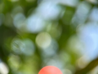 green bokeh background