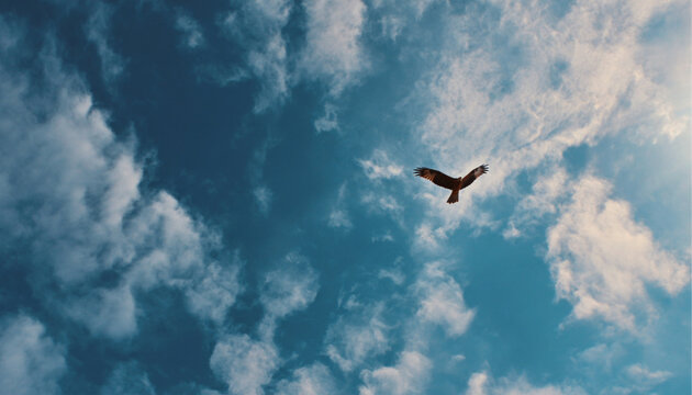 looking up into the blue sky overhead - sun and hazy clouds an eagle flying in the distance
