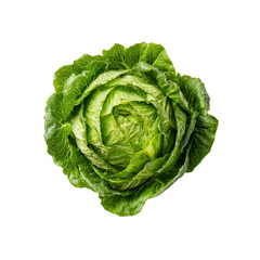 Fototapeta premium Fresh Green Butterhead Lettuce, Isolated on Black Background