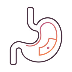 Fototapeta premium Continuous Stroke Digestive System Illustration