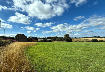A lush green field unfolds beneath a sky of scattered white clouds. Golden grasses edge the meadow, where distant houses nestle near the horizon in Birdsedge, Huddersfield, UK.