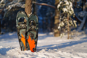 Orange snowshoes in a winter snowy forest on a sunny day.
