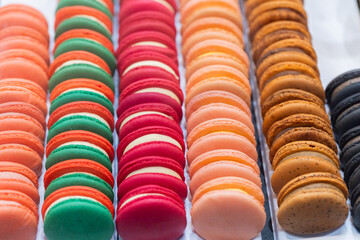 Colorful macarons arranged in neat rows showcasing vibrant hues and tempting textures for dessert lovers