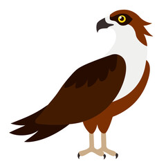Stylized illustration of an osprey bird standing