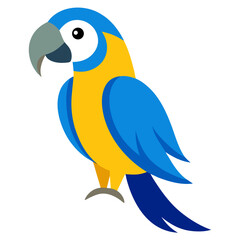 Colorful blue and yellow macaw parrot illustration