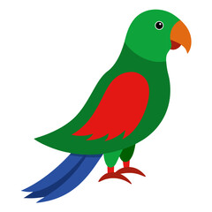 Colorful green parrot with red and blue accents