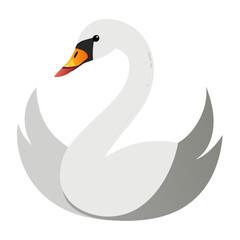 Elegant white swan with graceful neck and wings