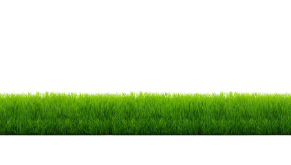Lush green grass isolated patch against a contrasting backdrop ideal for compositing projects