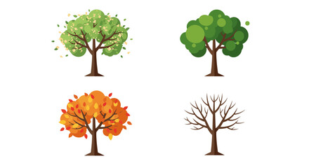 Obraz premium Four Seasons Trees Grid on White Background