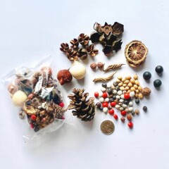 Assorted dried natural plant materials