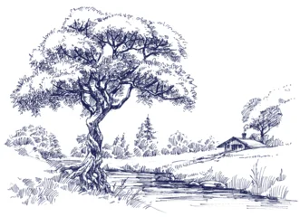Country landscape with a tree on a small river drawing © Danussa