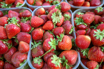 Strawberries in a plastic container, at a street market, in a supermarket.