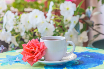 White cup of tea or coffee and red rose flower on a table covered by tablecloth in a blooming garden