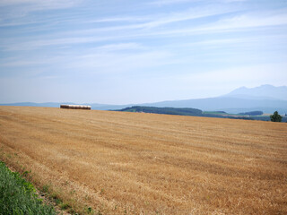 就実の丘に並べられた牧草ロール