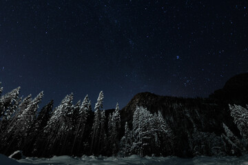 panoramica del cielo notturno, sereno e stellato e di colore blu, visto da un ambiente naturale di...
