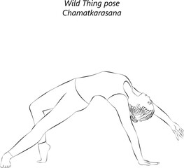 Sketch of young woman practicing Chamatkarasana yoga pose. Wild Thing yoga pose. Isolated vector illustration.